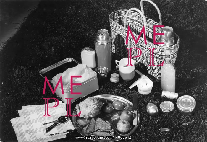 : PICNIC HAMPER : PICNIC HAMPER