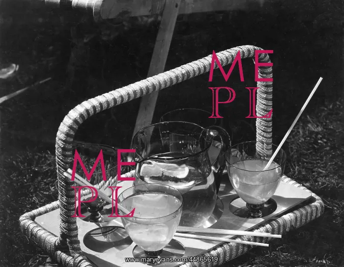 : PICNIC LEMONADE : PICNIC LEMONADE