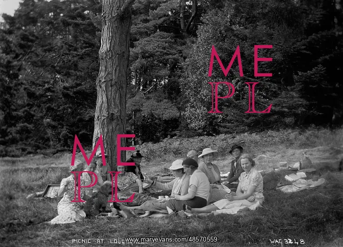 : Picnic at Loughgall : Picnic at Loughgall