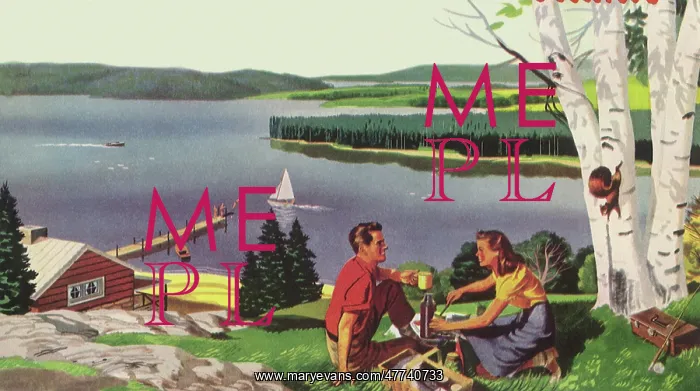 : Picnic Overlooking Lake : Picnic Overlooking Lake