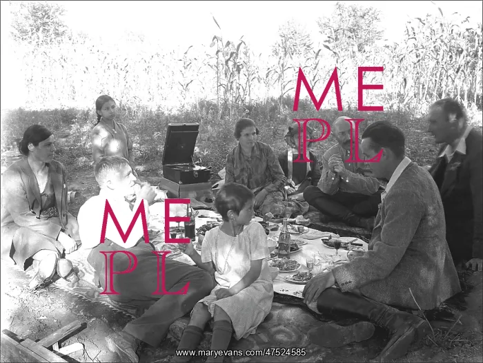 : A Picnic Party : A Picnic Party