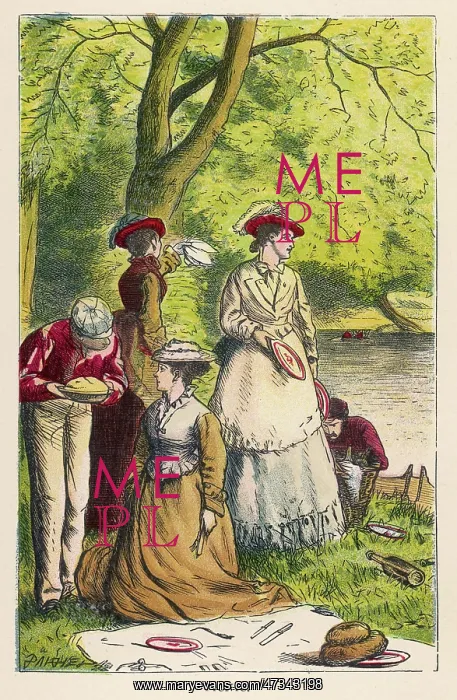  : PICNIC BY A RIVER