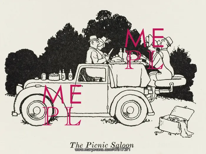 : The Picnic Saloon - W H Robinson : The Picnic Saloon - W H Robinson