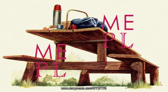  : Picnic Table