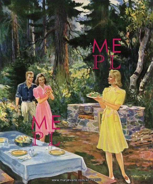 : Picnic in Woods : Picnic in Woods