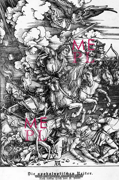 : Picture of Albrecht Duerer : Picture of Albrecht Duerer