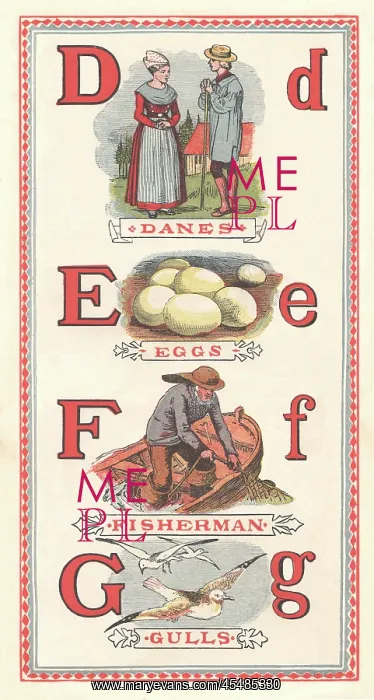 : Picture Alphabet : Picture Alphabet