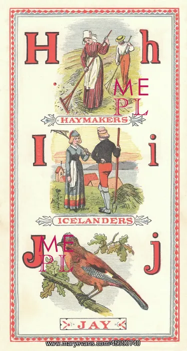 : Picture Alphabet : Picture Alphabet