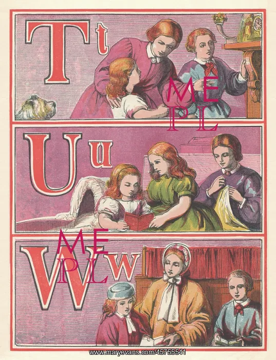 : Picture Alphabet : Picture Alphabet