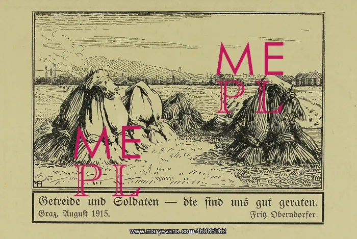 : Picture postcard. First World War : Picture postcard. First World War