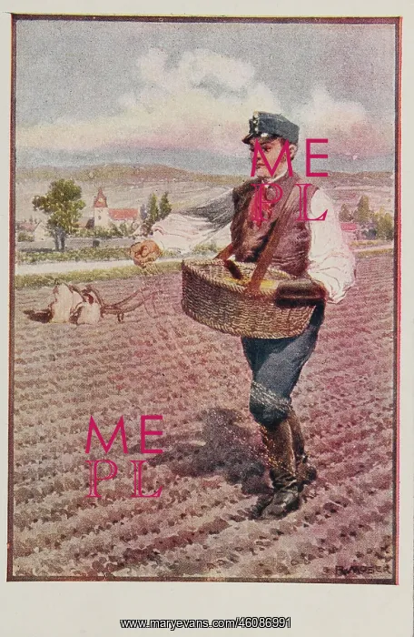 : Picture postcard. First World War : Picture postcard. First World War