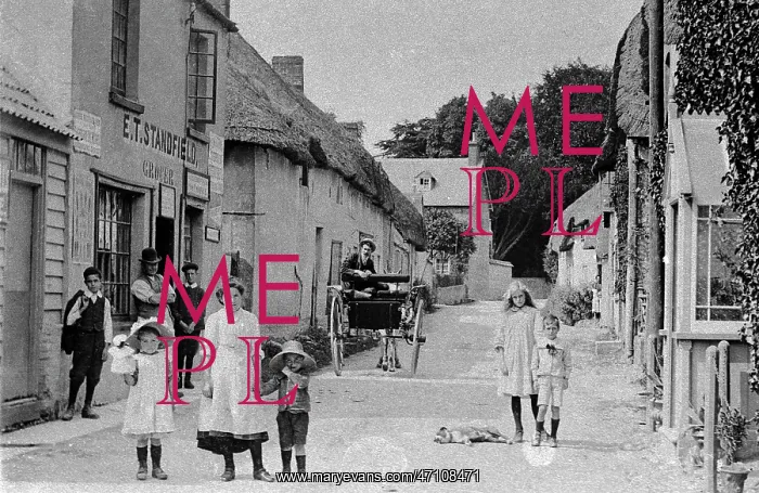  : Piddletrenthide early 1900s