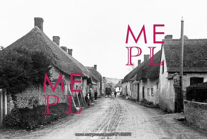  : Piddletrenthide High Street early 1900s