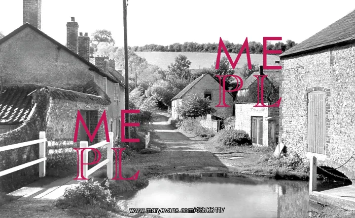  : Piddletrenthide, Smiths Lane c1955