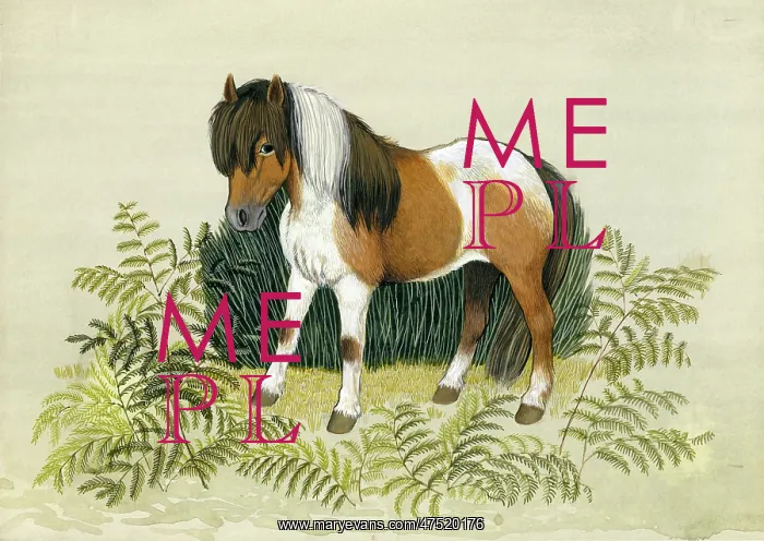  : Piebald pony with fern leaves