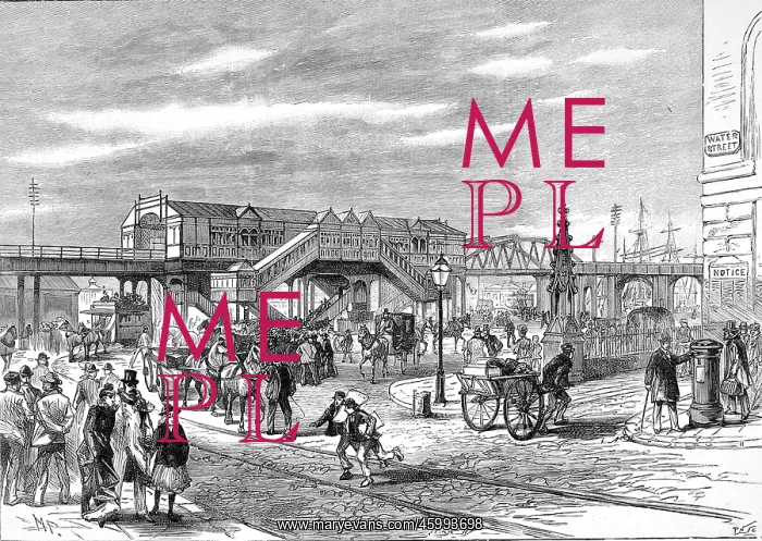: Pier Head Station, Liverpool Docks 1893 : Pier Head Station, Liverpool Docks 1893