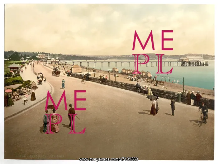 : The pier, Paignton, England : The pier, Paignton, England