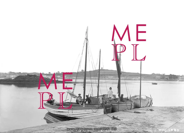 : The Pier, Strangford : The Pier, Strangford