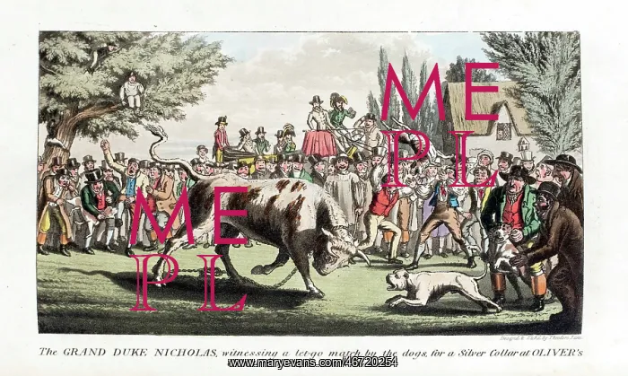 : Pierce Egan's Anecdotes: bull-baiting by dogs : Pierce Egan's Anecdotes: bull-baiting by dogs