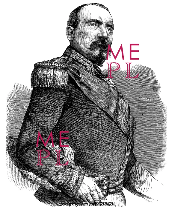  : PIERRE F J BOSQUET