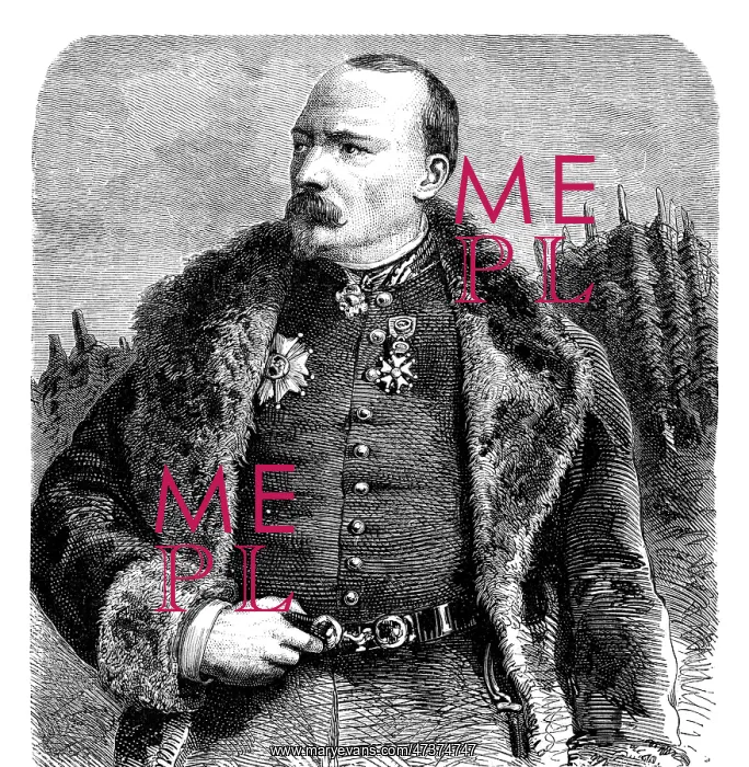 : PIERRE F J BOSQUET : PIERRE F J BOSQUET