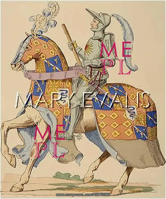 : PIERRE DE ROHAN : PIERRE DE ROHAN