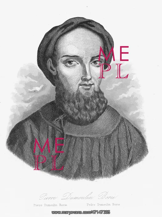 : Pierre Rose Ursule Dumoulin Borie, French missionary : Pierre Rose Ursule Dumoulin Borie, French missionary