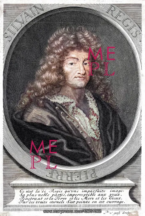  : PIERRE SYLVAIN REGIS
