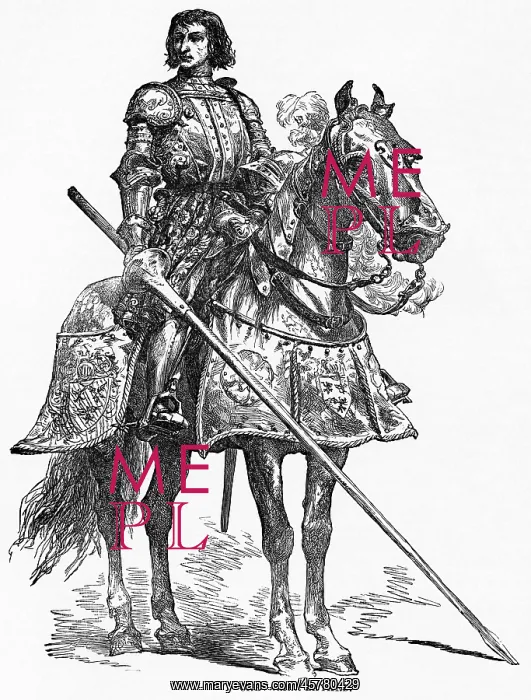  : Pierre Terrail - Chevalier de Bayard - knight