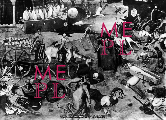 : Pieter Bruegel the Elder : Pieter Bruegel the Elder