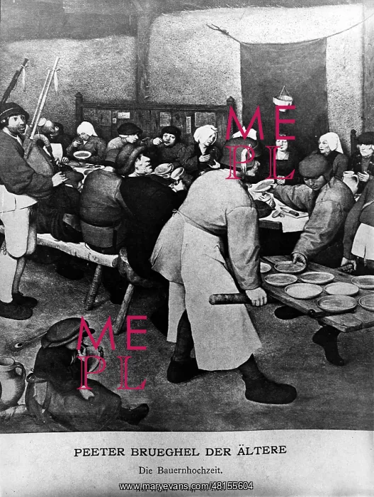 : Pieter Bruegel the Elder : Pieter Bruegel the Elder