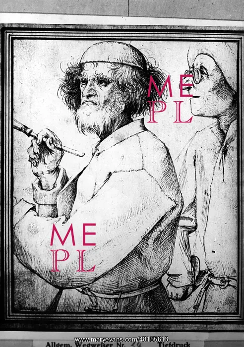 : Pieter Bruegel the Elder : Pieter Bruegel the Elder
