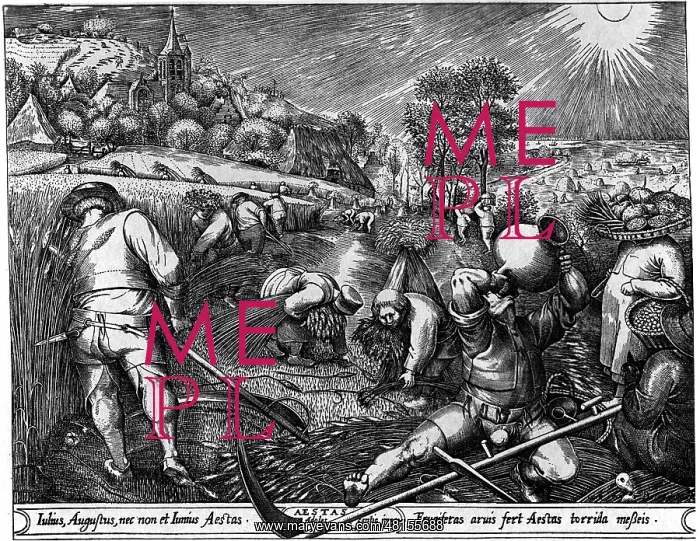: Pieter Bruegel the Elder : Pieter Bruegel the Elder
