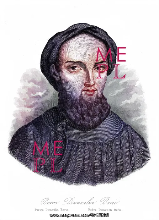 : PIETER VAN DER MEULEN : PIETER VAN DER MEULEN