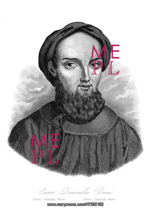 : PIETER VAN DER MEULEN : PIETER VAN DER MEULEN