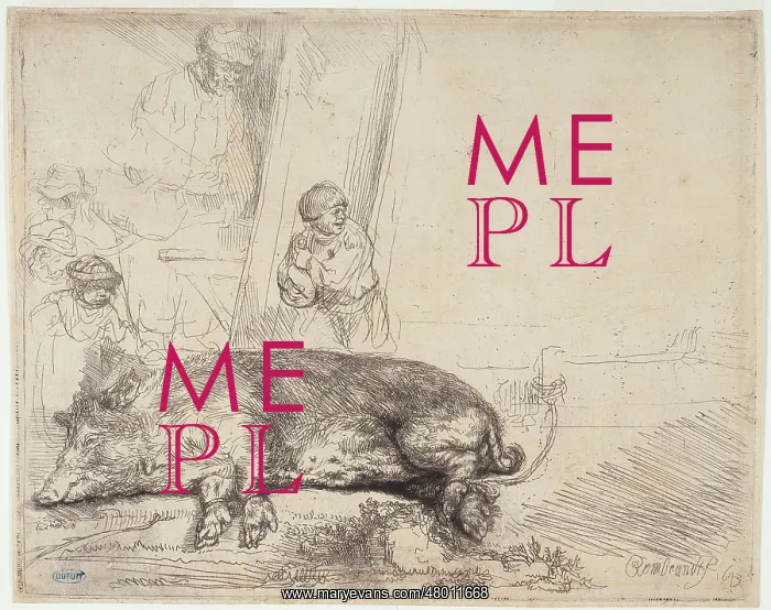 : The pig. Harmensz Van Rijn Rembrandt (1606-1669). The pig (B 157 - 1st state), 1643 : The pig. Harmensz Van Rijn Rembrandt (1606-1669). The pig (B 157 - 1st state), 1643