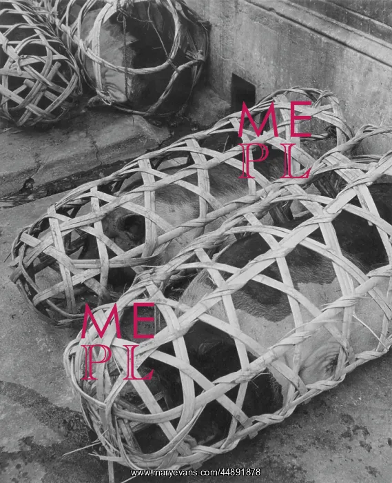  : PIG BASKETS