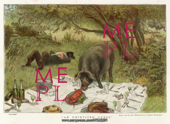 : PIG EATS PICNIC FOOD : PIG EATS PICNIC FOOD