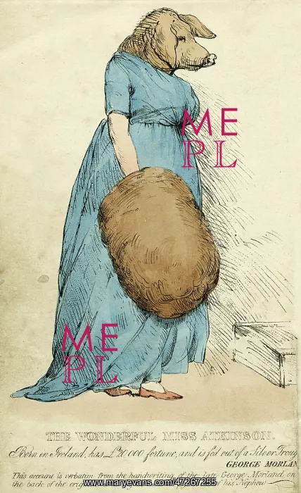  : Pig-faced Lady 1815