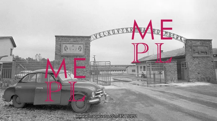  : Pig farm - piggery