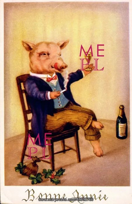 : Pig on a French New Year postcard : Pig on a French New Year postcard