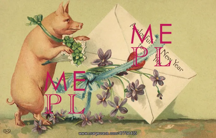  : Pig with Large Card