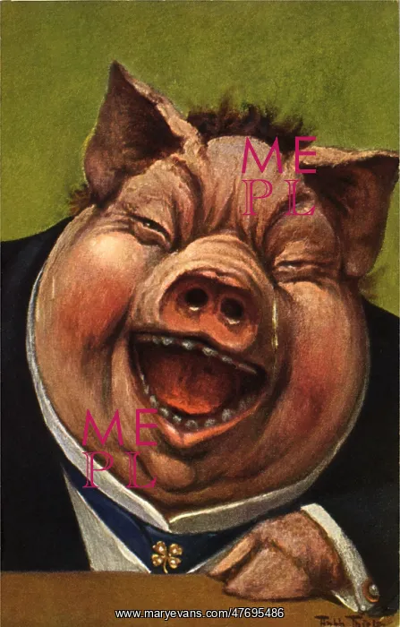  : Pig Laughing