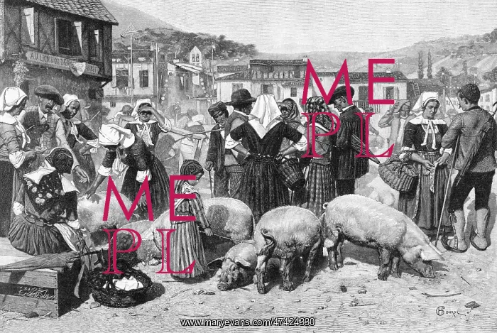 : PIG MARKET, PYRENEES : PIG MARKET, PYRENEES