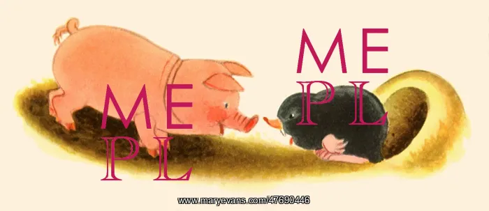  : Pig and Mole