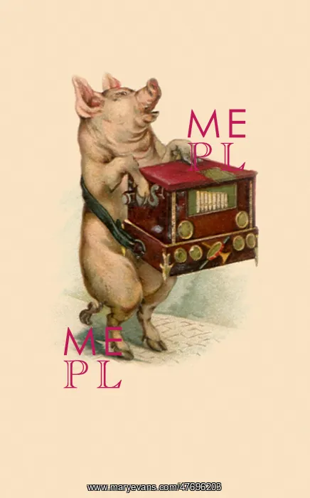  : Pig with Music BoX