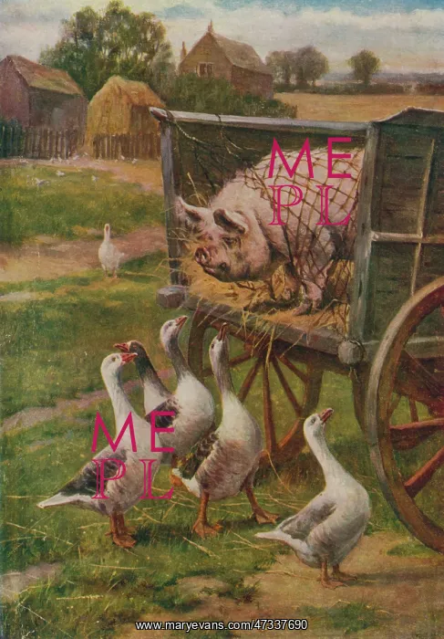: PIG OFF TO MARKET 1910 : PIG OFF TO MARKET 1910