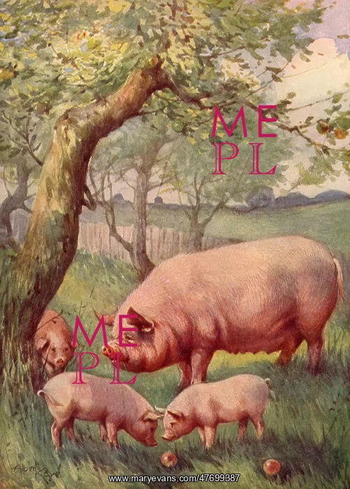  : Pig, Piglets Under Tree
