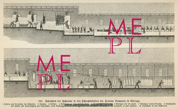 : FROM PIG TO PORK 1897 : FROM PIG TO PORK 1897