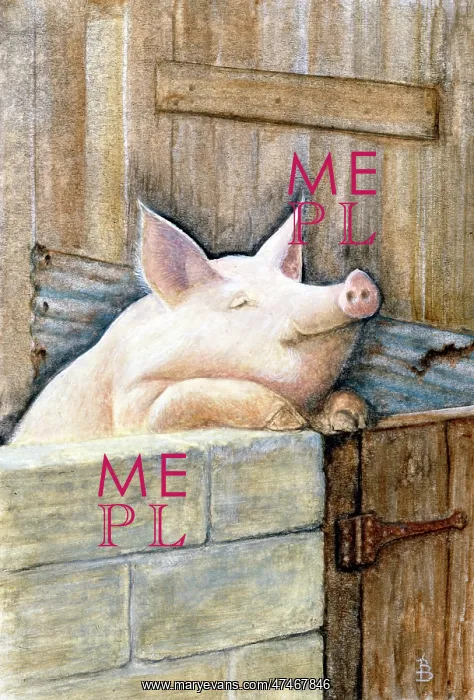  : Pig in a Sty